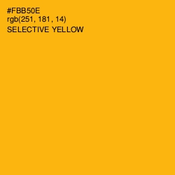 #FBB50E - Selective Yellow Color Image